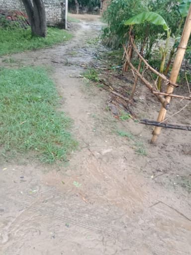 Other Problems in G26F+4M7, Dumrauna, Bihar 841508, India – reported issue