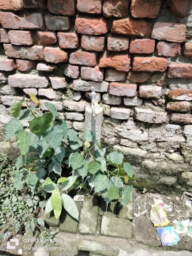 Water logging in 9GPF+8F Maranpur, Bihar, India – reported issue