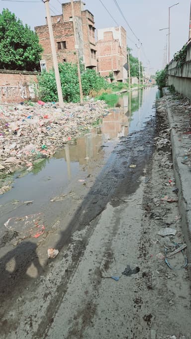 Request garbage bin in G9C8+6HQ, Sasamusa, Sirisiya, Bihar 841505, India – reported issue