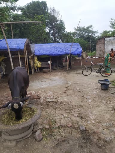 Other Problems in 9CHW+JCW, Barharia - Gopalganj Rd, Bangra, Deuria, Bihar 841440, India – reported issue