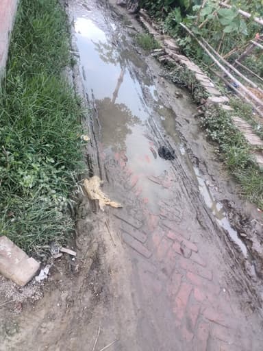 Nal jal Yojna in 99G8+2X8, Narayanpur, Bihar 841438, India – reported issue
