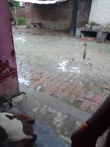 Other Problems in N. Jalalpur Road, H7WX+55W, Adhmauli, Bihar 841503, India – reported issue