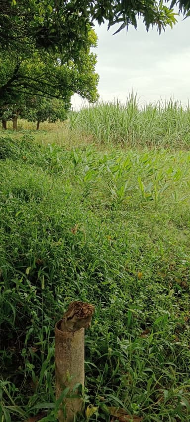 Other Problems in 95HV+QW Kharauni, Bihar, India – reported issue