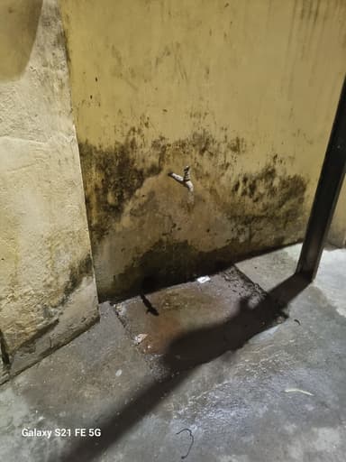 Sewer overflowing in In front of Civil Court, FC8R+HGV, Police Line, Bihar 841428, India – reported issue