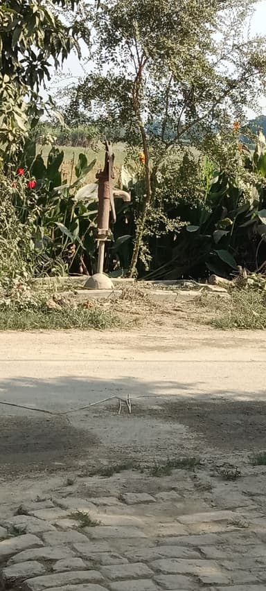 Water logging in 95HV+X92, Ek Denga, Kharauni, Bihar 841243, India – reported issue