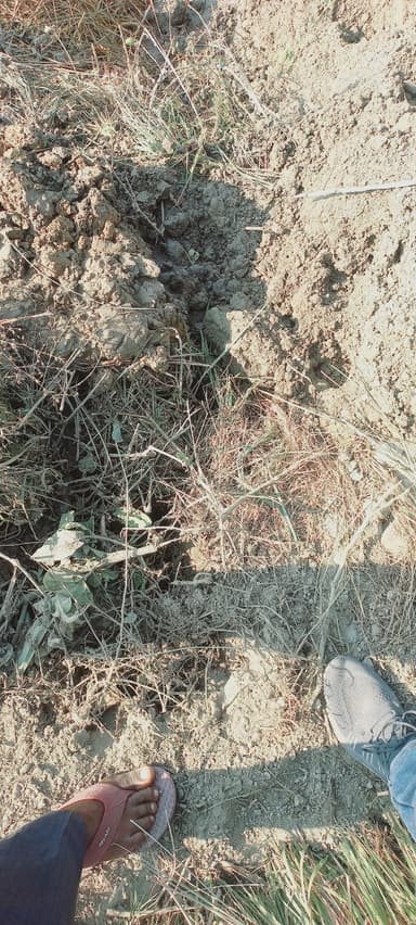 Sewer overflowing in 8MVQ+V9W, Madhopur, Bishunpura, Bihar 841437, India – reported issue