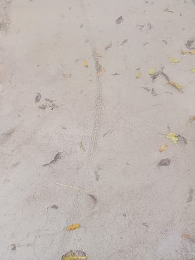 Sewer overflowing in At po.bishunpura .ps sidhwalia dist, 8JC8+4R2, Larauli, Bihar 841407, India – reported issue