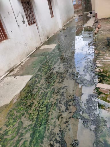 Water logging in H8Q4+447, Nichua Khas, Bihar 841503, India – reported issue
