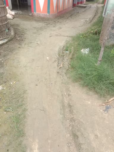 Unhygienic conditions in 8JV3+CR6, Balha, Bihar 841407, India – reported issue