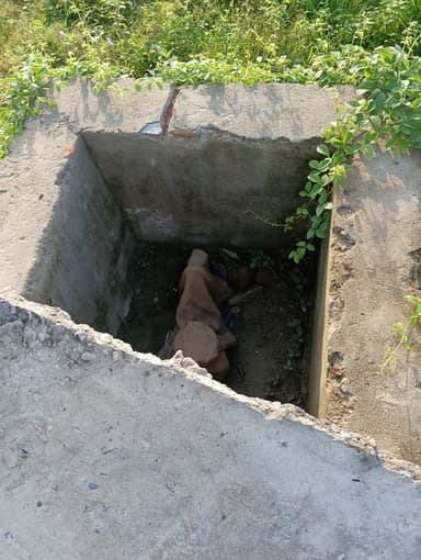 Water logging in Water-related Complaints – reported issue