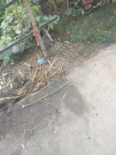 Water logging in 8MVH+4M Buchiya Sidhwalia, Bihar, India – reported issue