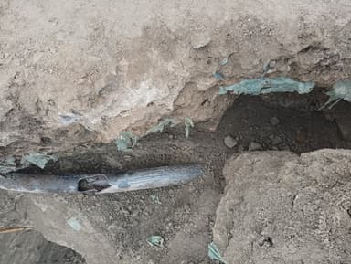 Water logging in Mohammadpur chapra road ward number 5, Bihar 841423, India – reported issue