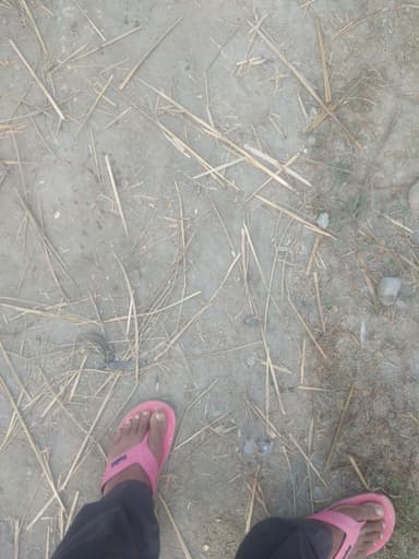 Water logging in 8MVH+R9 Buchiya Sidhwalia, Bihar, India – reported issue