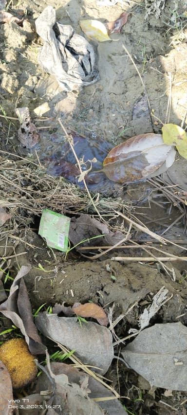 Water logging in 8J7J+MC Jalalpur Kalan, Bihar, India – reported issue