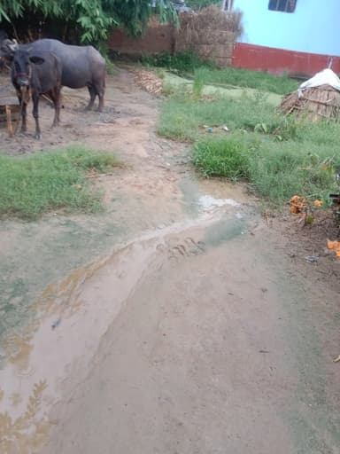Water logging in G26F+4M7, Dumrauna, Bihar 841508, India – reported issue