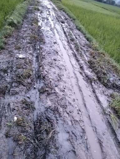 Water logging in 887R+VV, Mohammadpur Kharji, Bihar 841436, India – reported issue