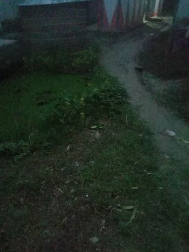 Unhygienic conditions in 8JP6+PQ7, Bishunpura, Bihar 841407, India – reported issue