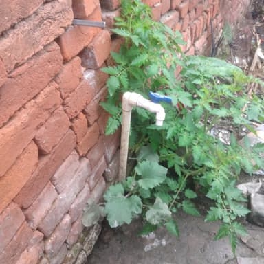 Sewer overflowing in H725+7W, Dharampur, Bihar 841502, India – resolved