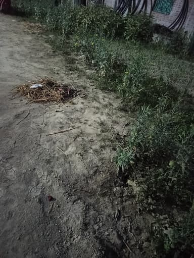 Water logging in 8GJH+W65, Rachopali, Bihar 841420, India – resolved