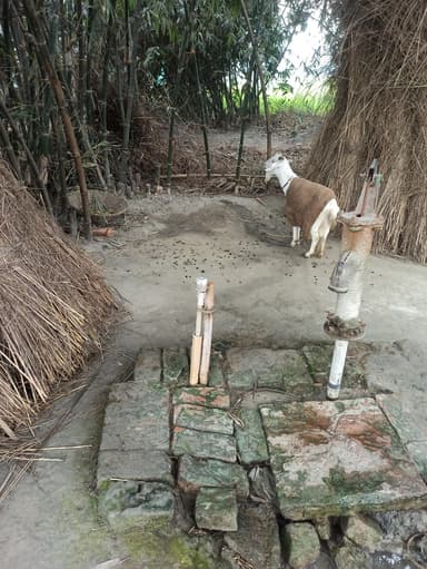 undefined in 9M8M+59J, Jhajhwa, Bihar 841437, India – resolved