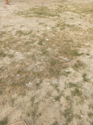 undefined in 8JM9+RGV, Bakharaur, Bihar 841407, India – resolved