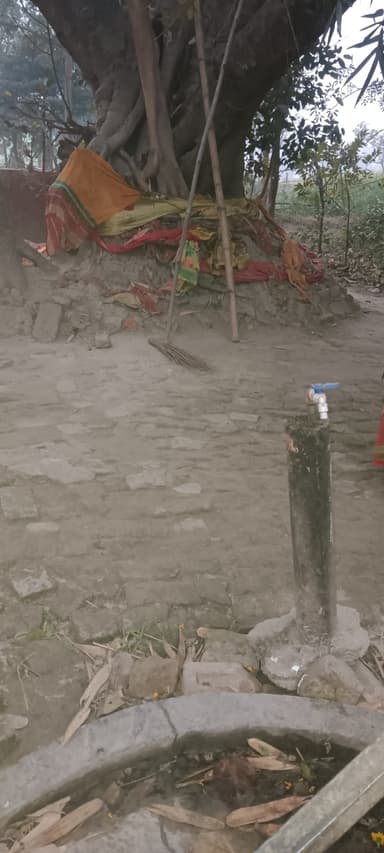 undefined in 8GJH+W65, Rachopali, Bihar 841420, India – resolved