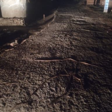 undefined in G9PV+Q9V, Bakhari, Bihar 841505, India – resolved