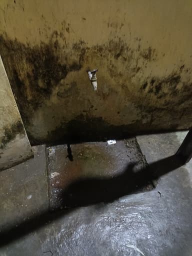Sewer overflowing in In front of Civil Court, FC8R+HGV, Police Line, Bihar 841428, India – resolved