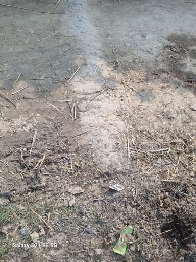 Sewer overflowing in 8PHR+GRG, Parsauni, Bihar 841409, India – resolved