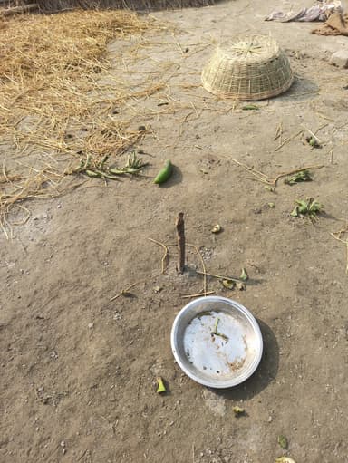 Sewer overflowing in 6RP9+QMR, Sonbarsa, Bihar 841413, India – resolved