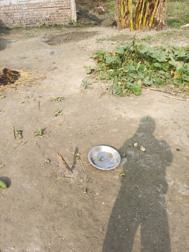 Sewer overflowing in 6RP9+QMR, Sonbarsa, Bihar 841413, India – resolved