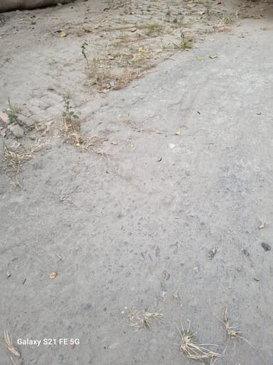 Sewer overflowing in 6QCM+J8 Basaha, Bihar, India – resolved