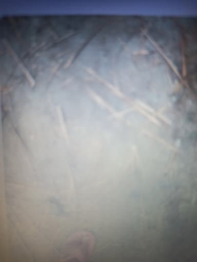 Water logging in 8MVH+R9 Buchiya Sidhwalia, Bihar, India – resolved