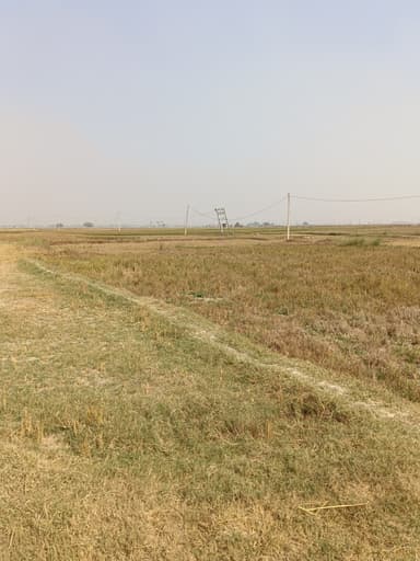 No Streetlights (residential area) in C7GV+W7 Donrapur, Bihar, India – resolved