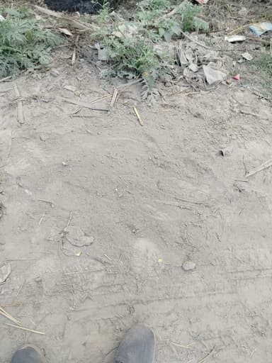 Sewer overflowing in 9M35+3G Buchiya Sidhwalia, Bihar, India – resolved