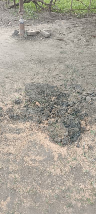 Sewer overflowing in 8MC5+H2 Tola Sakla, Bihar, India – resolved