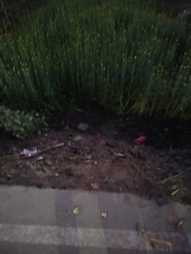 Water logging in 8MWG+4X Buchiya Sidhwalia, Bihar, India – resolved