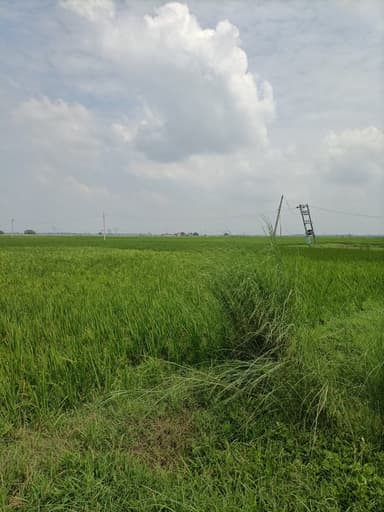 Power Cuts in C7GV+5C Donrapur, Bihar, India – resolved