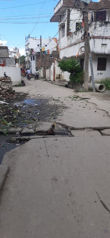 Garbage Problem in Sareya ward no 13, west of minj stadium, near LIC office, Police Line, Gopalganj, Bihar 841428, India – resolved