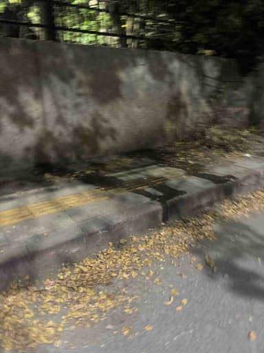 Unhygienic public toilets in Satyawati Marg, New Delhi, DL, India – reported issue