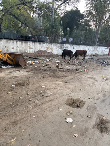 Garbage Problem in Municipal Complaints – reported issue