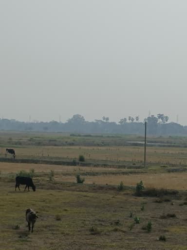 Power Cuts in 987M+QX3, Narainian, Mirganj, Bihar 841438, India – reported issue