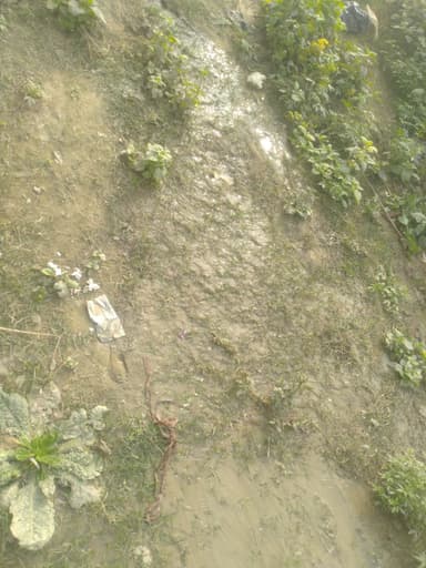 undefined in 8JJ9+JHF, Bakharaur, Bihar 841407, India – reported issue