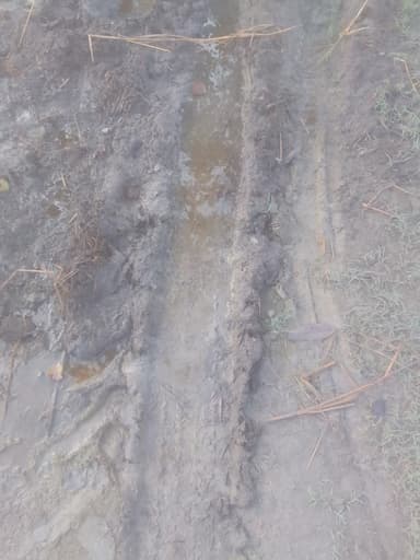 Sewer overflowing in 8MC5+H2 Tola Sakla, Bihar, India – reported issue