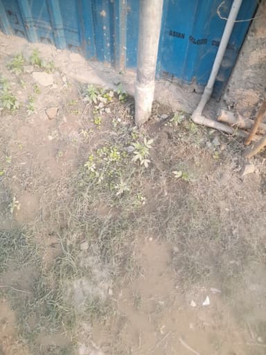 Water logging in 9GPQ+GJR, Nawada - Barauli Rd, Nawada, Bihar 841405, India – reported issue