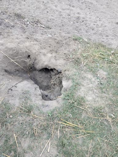 Sewer overflowing in 9M79+W8 Joigar, Bihar, India – reported issue