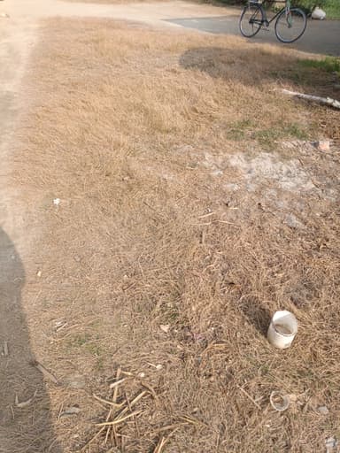 Sewer overflowing in F68Q+CV5, Birsa Bathua, Bihar 841425, India – resolved
