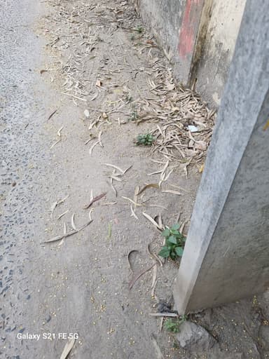 Water logging in F7WW+G9V, Sanah Madho, Bihar 841425, India – resolved